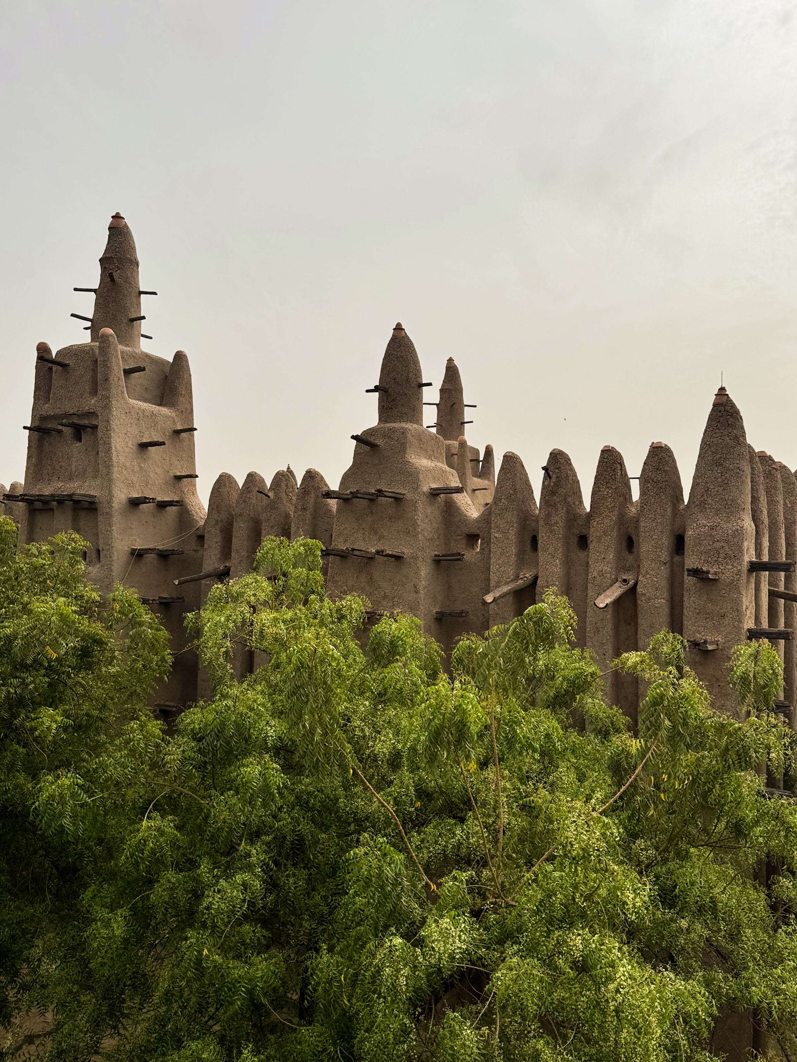 Mali IV photo 6