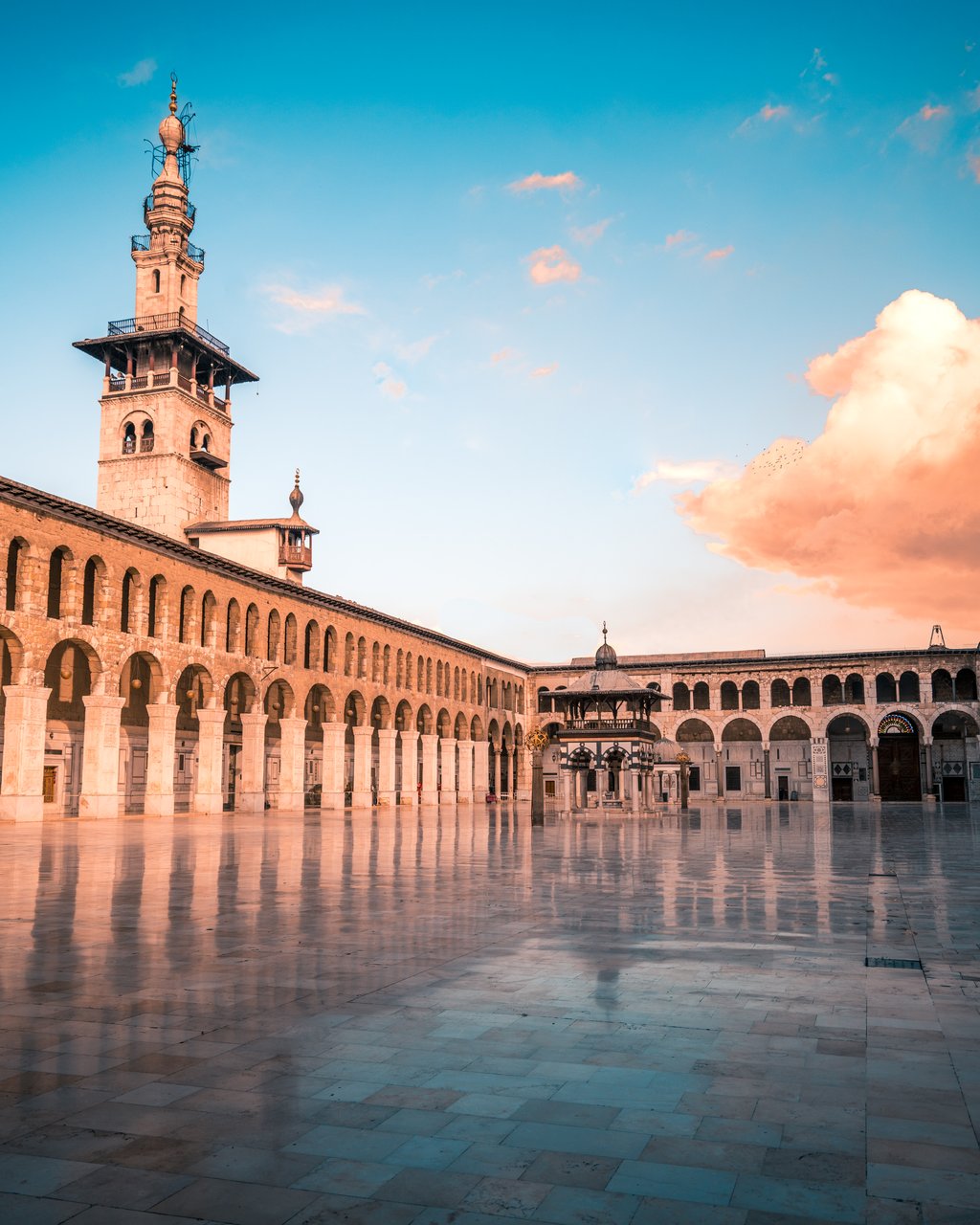 Syria VII