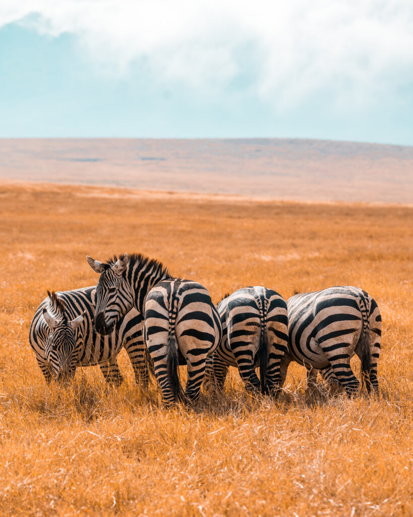 Kenya
