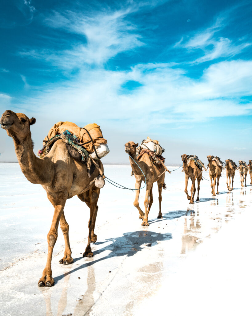 Eritrea & Djibouti I