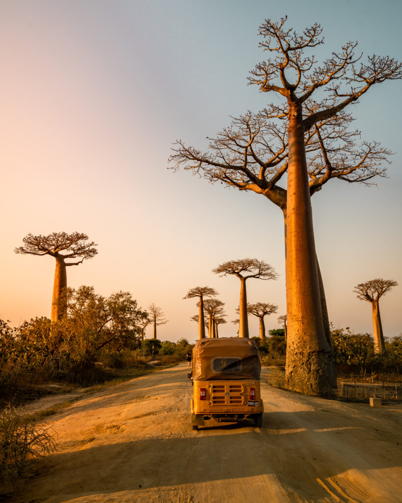 Madagascar I