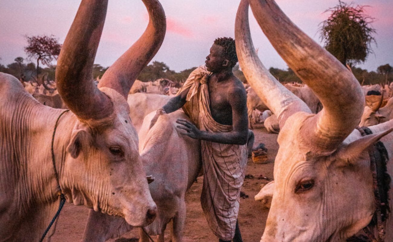 South Sudan IV photo 1