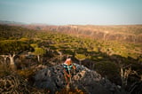 Socotra V