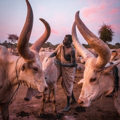 South Sudan IV cover image