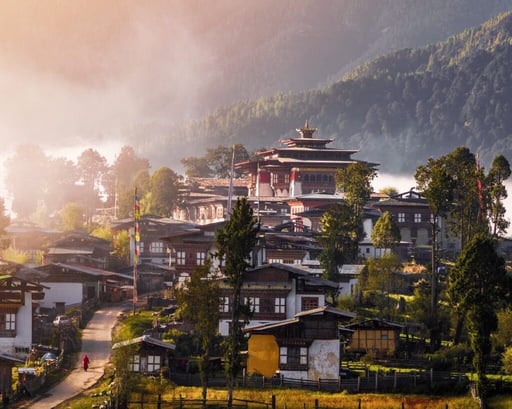 Indian Himalayas & Bhutan - 3