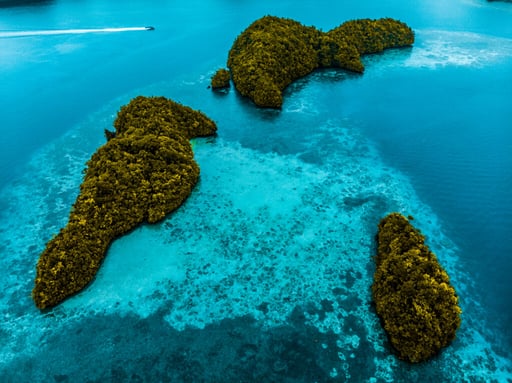 Pacific I - 3