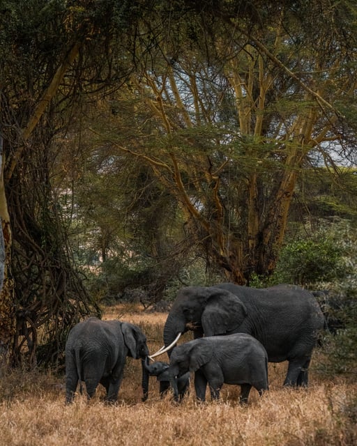 Kenya - 5