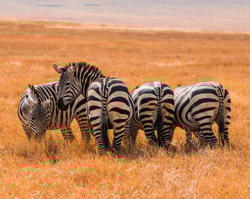 Kenya - 2