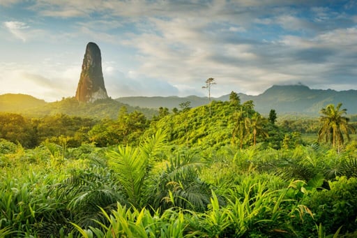 Central Africa I - 2