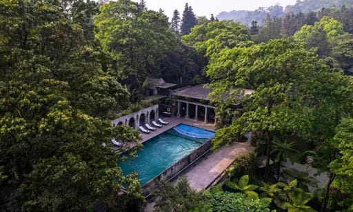 WE Vietnam Lotus - 3