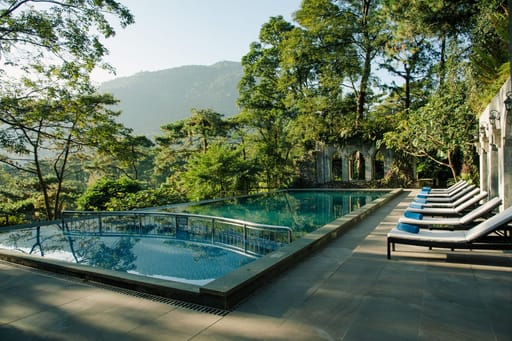 WE Vietnam Lotus - 4