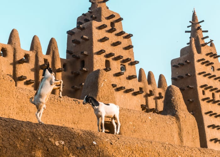 Burkina IV photo 3