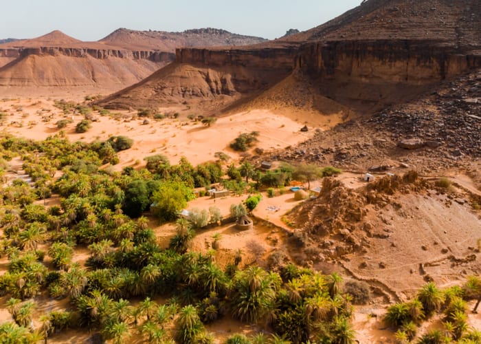 Mauritania VI photo 2