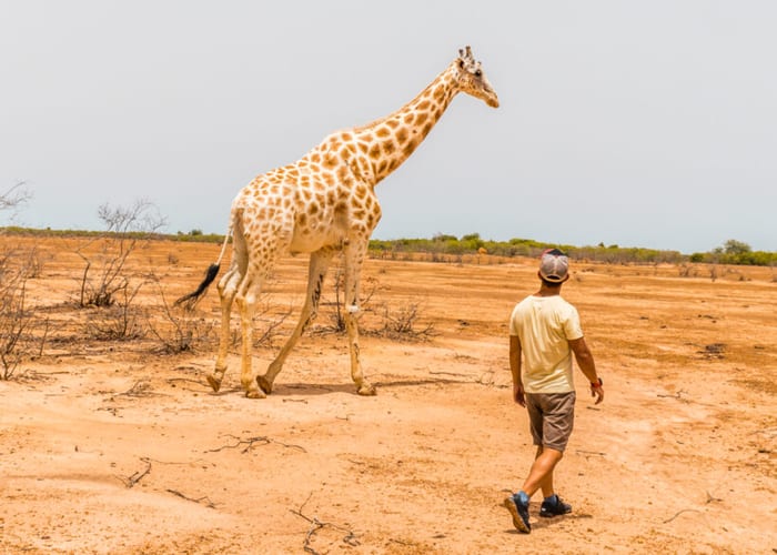Niger II: Agadez, Zinder & Gerewol photo 3