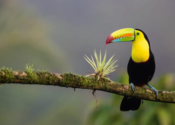 Mexico: 6th Anniversary Expedition photo 3