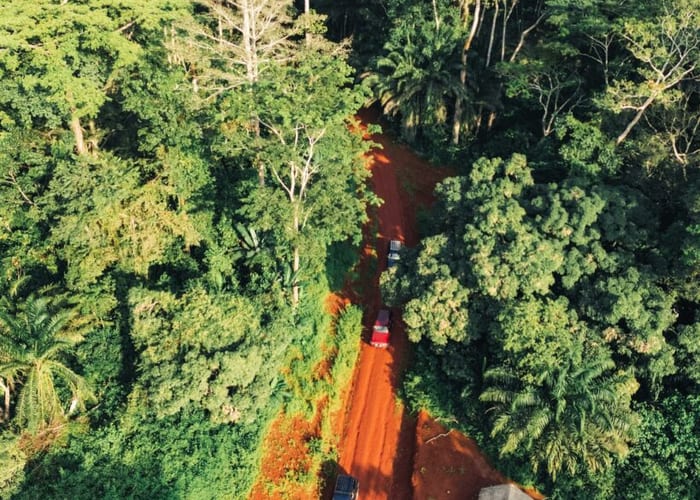 Central Africa IV photo 2
