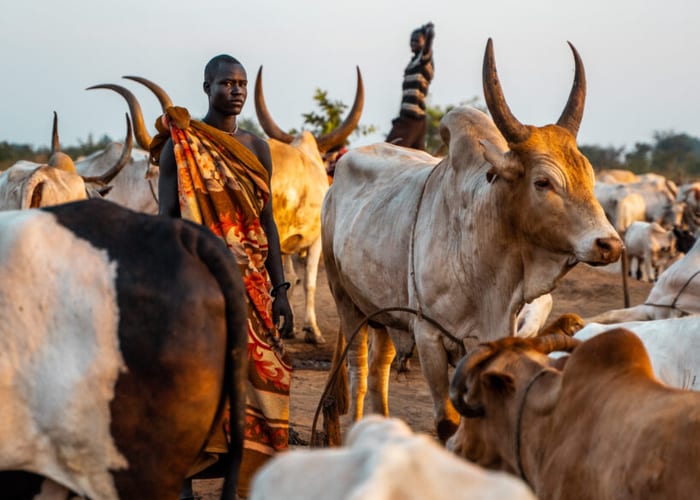 South Sudan IV photo 2