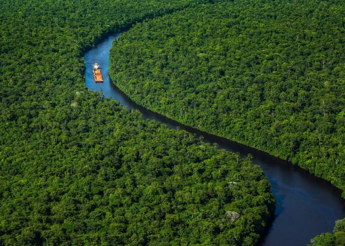 Guianas IV photo 2