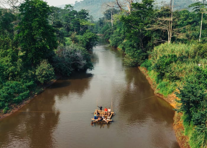 West Africa VIII photo 4