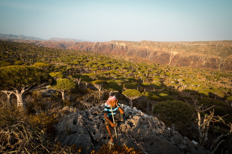 Socotra V