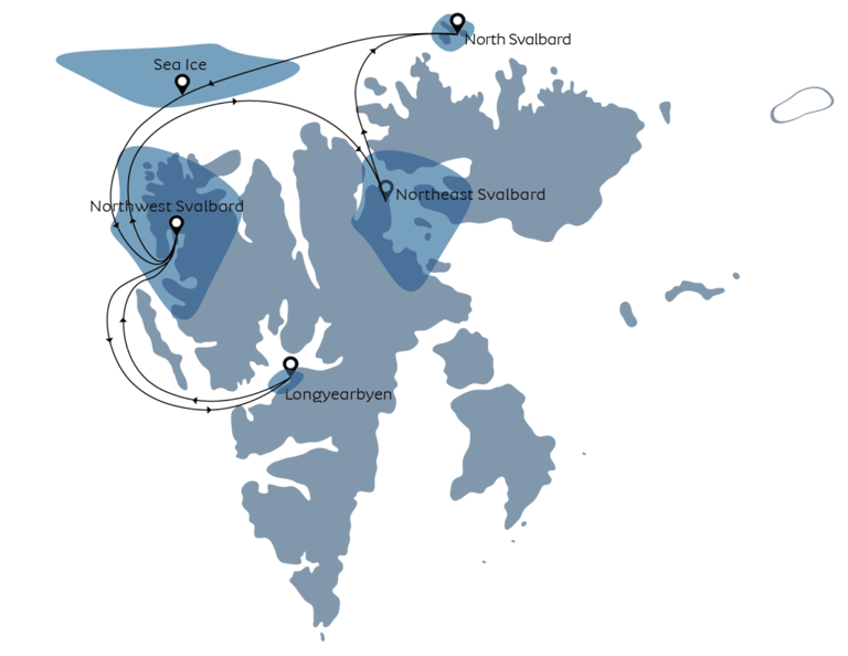 Svalbard - 3
