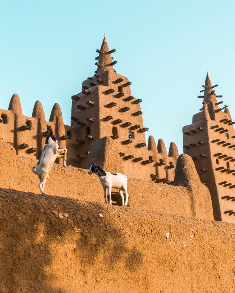 Mali & Burkina II - 6