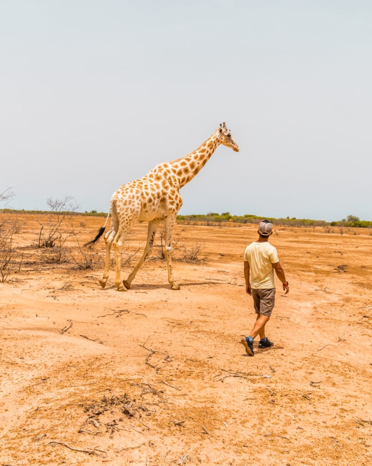 Niger & Nigeria - 2
