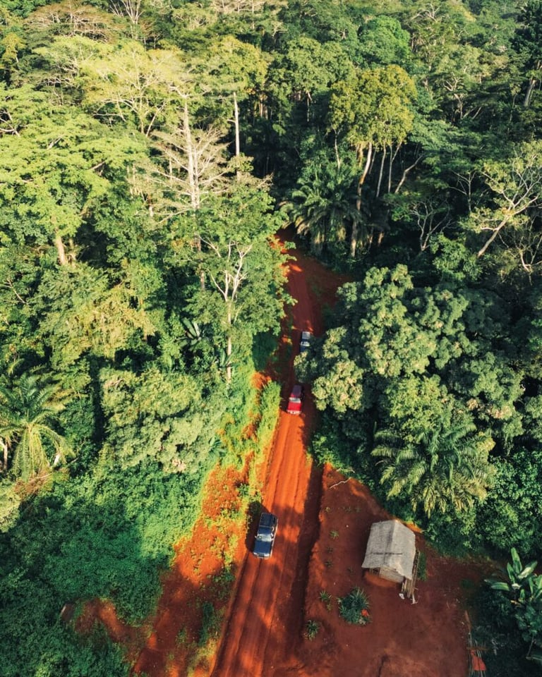 Central Africa I - 7