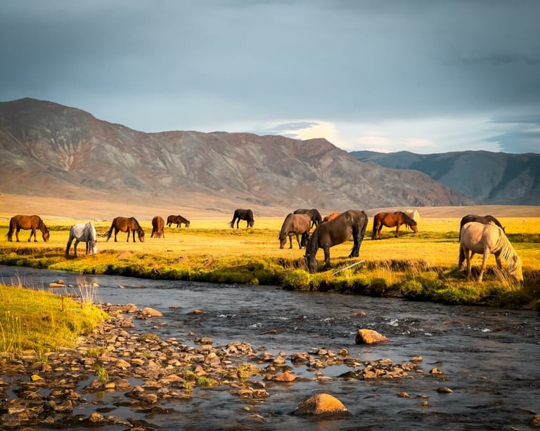 Mongolia III - 2