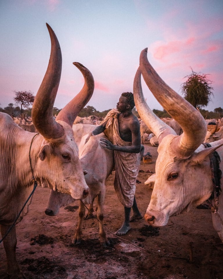 South Sudan II - 1
