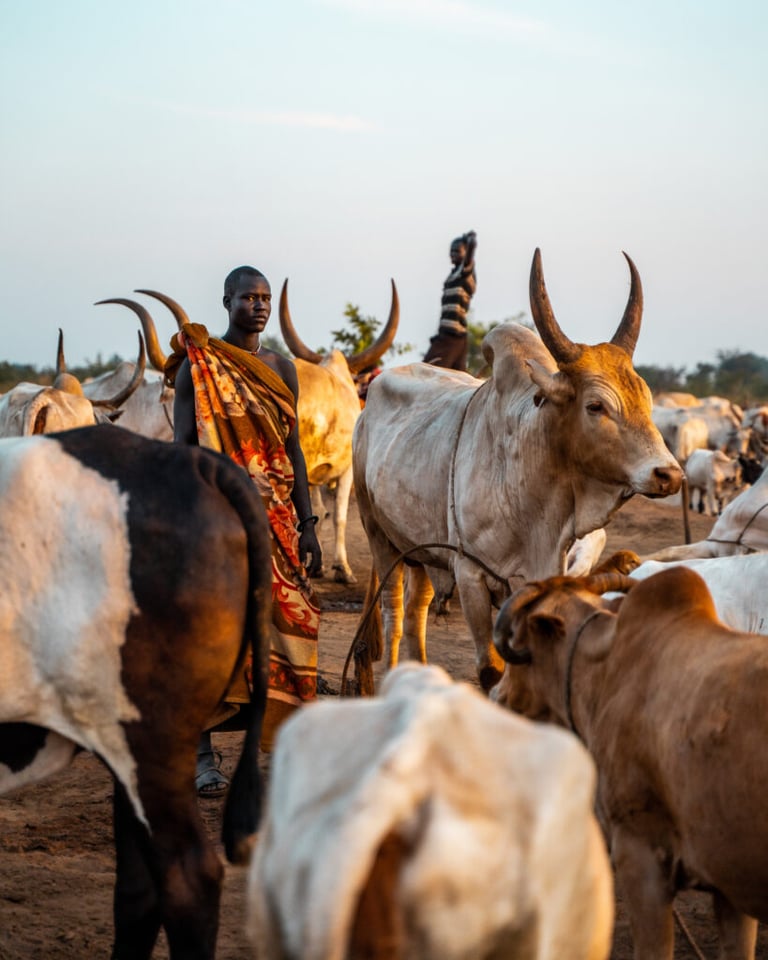 South Sudan II - 2