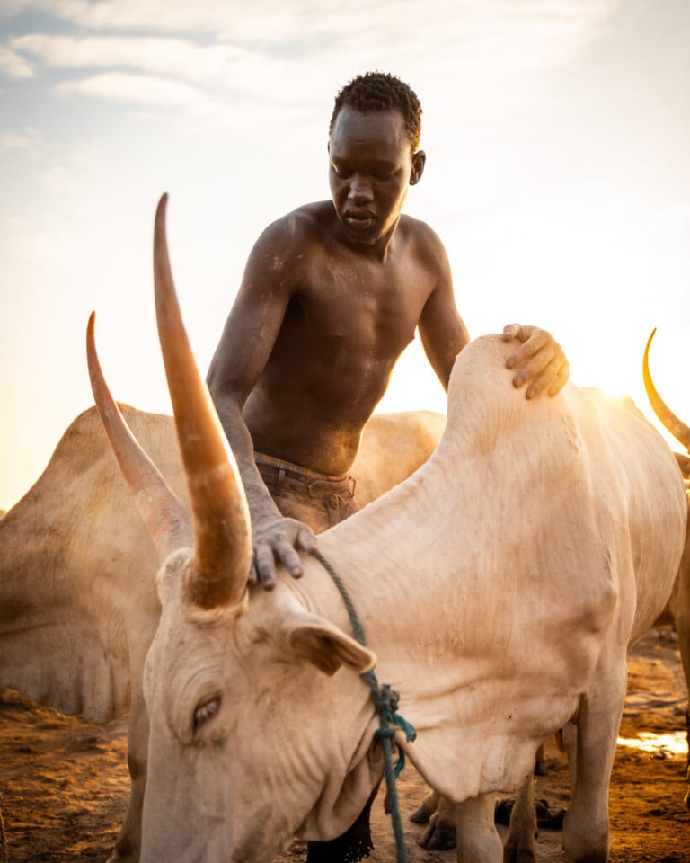 South Sudan II - 6