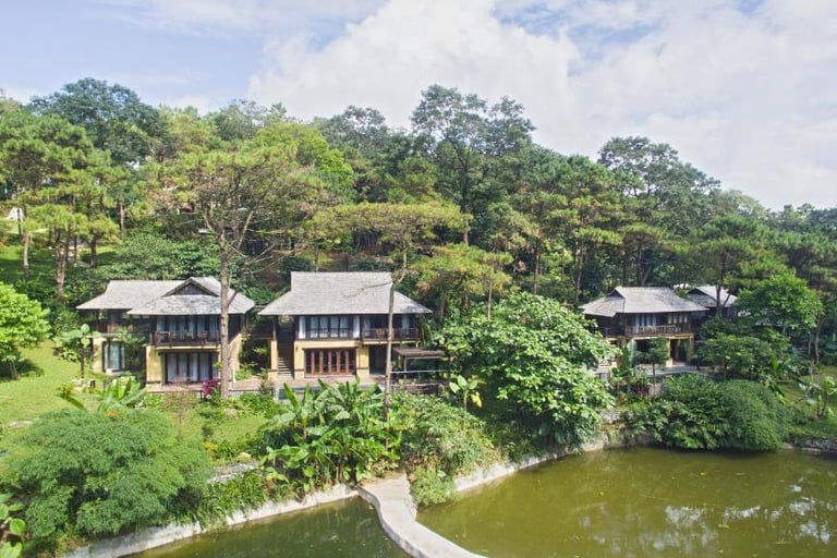 WE Vietnam Lotus - 7