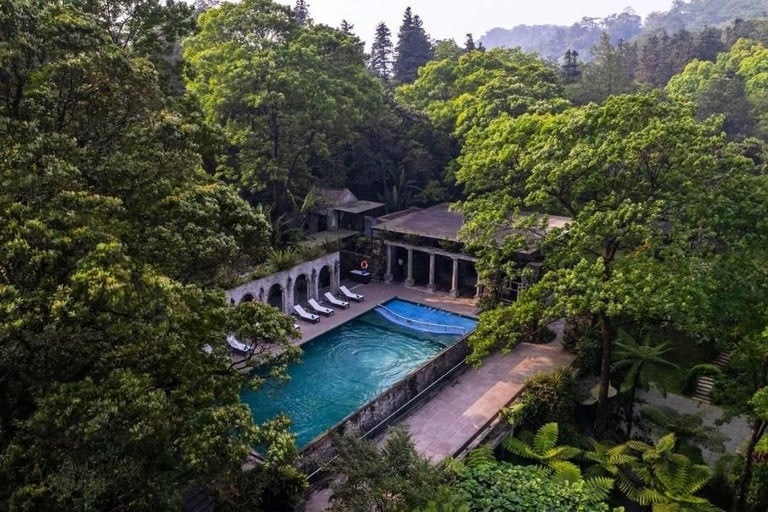 WE Vietnam Lotus - 3