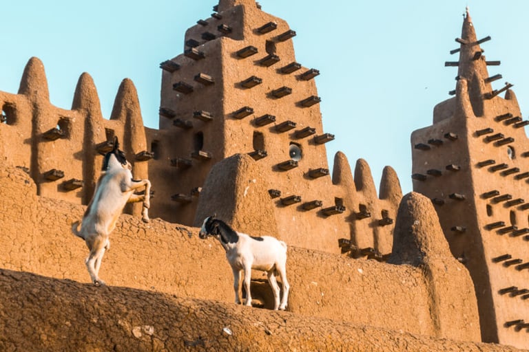 Mali & Burkina III - 6