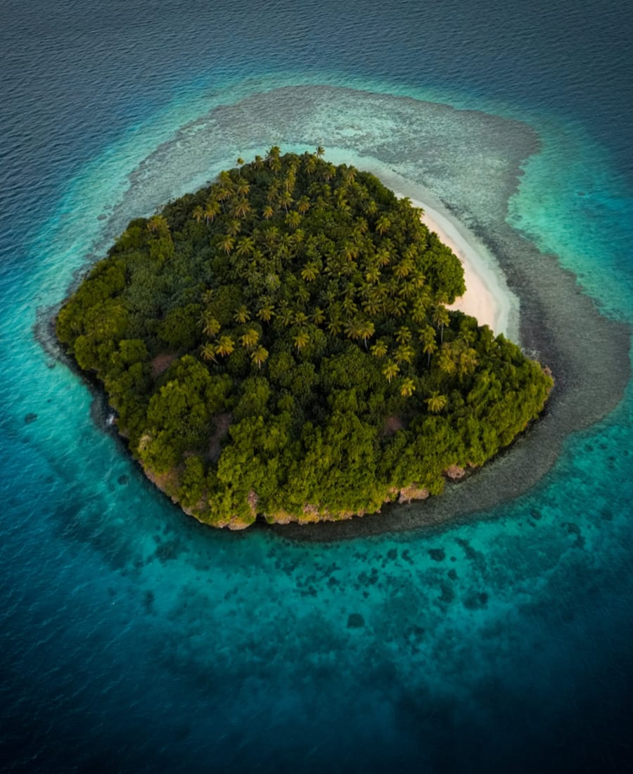 Polynesia II photo 2