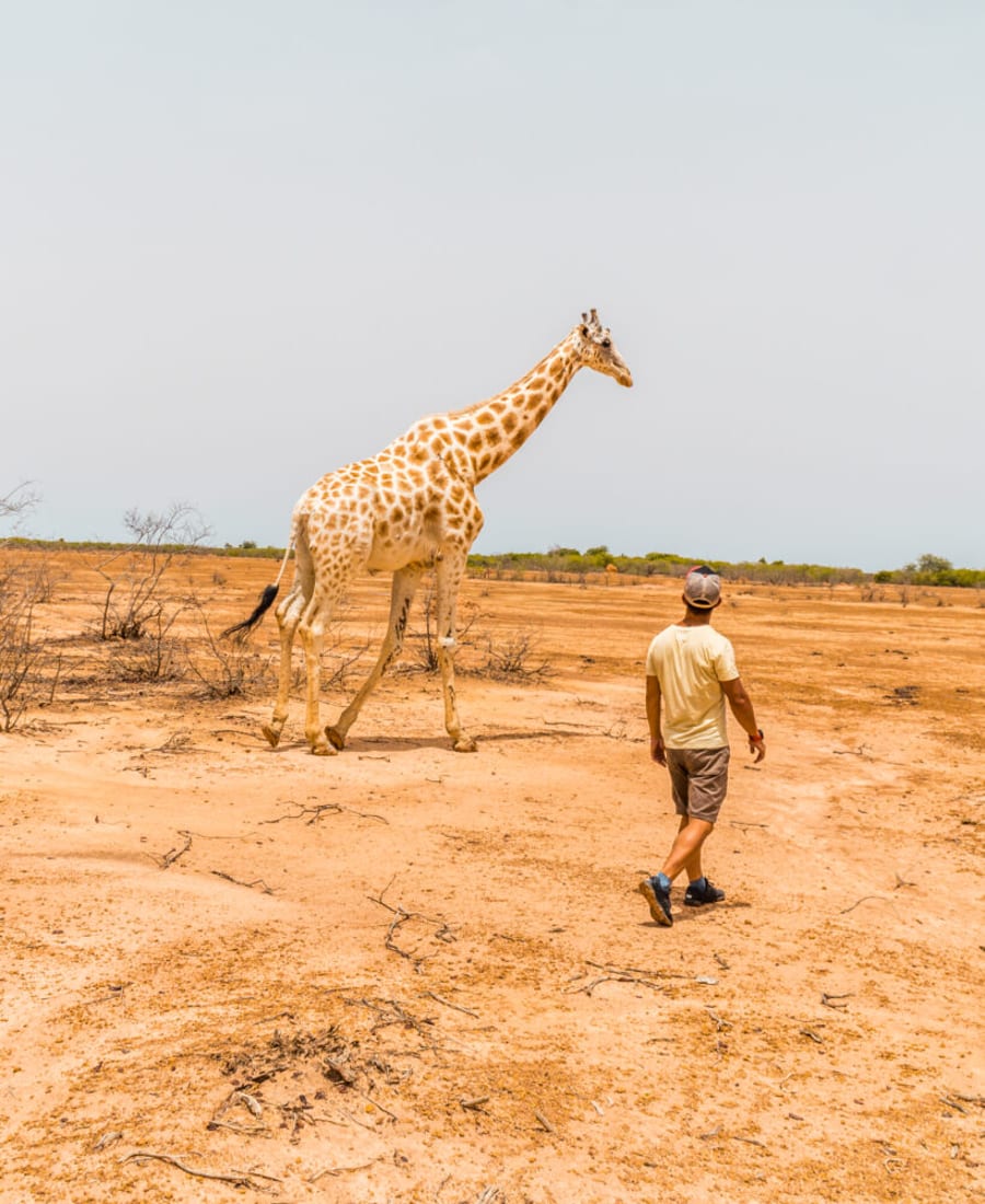 Niger II: Agadez, Zinder & Gerewol photo 3