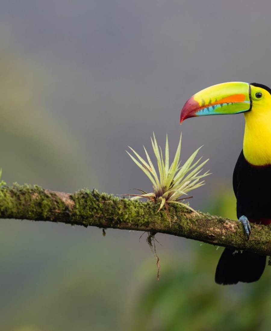 Mexico: 6th Anniversary Expedition photo 3