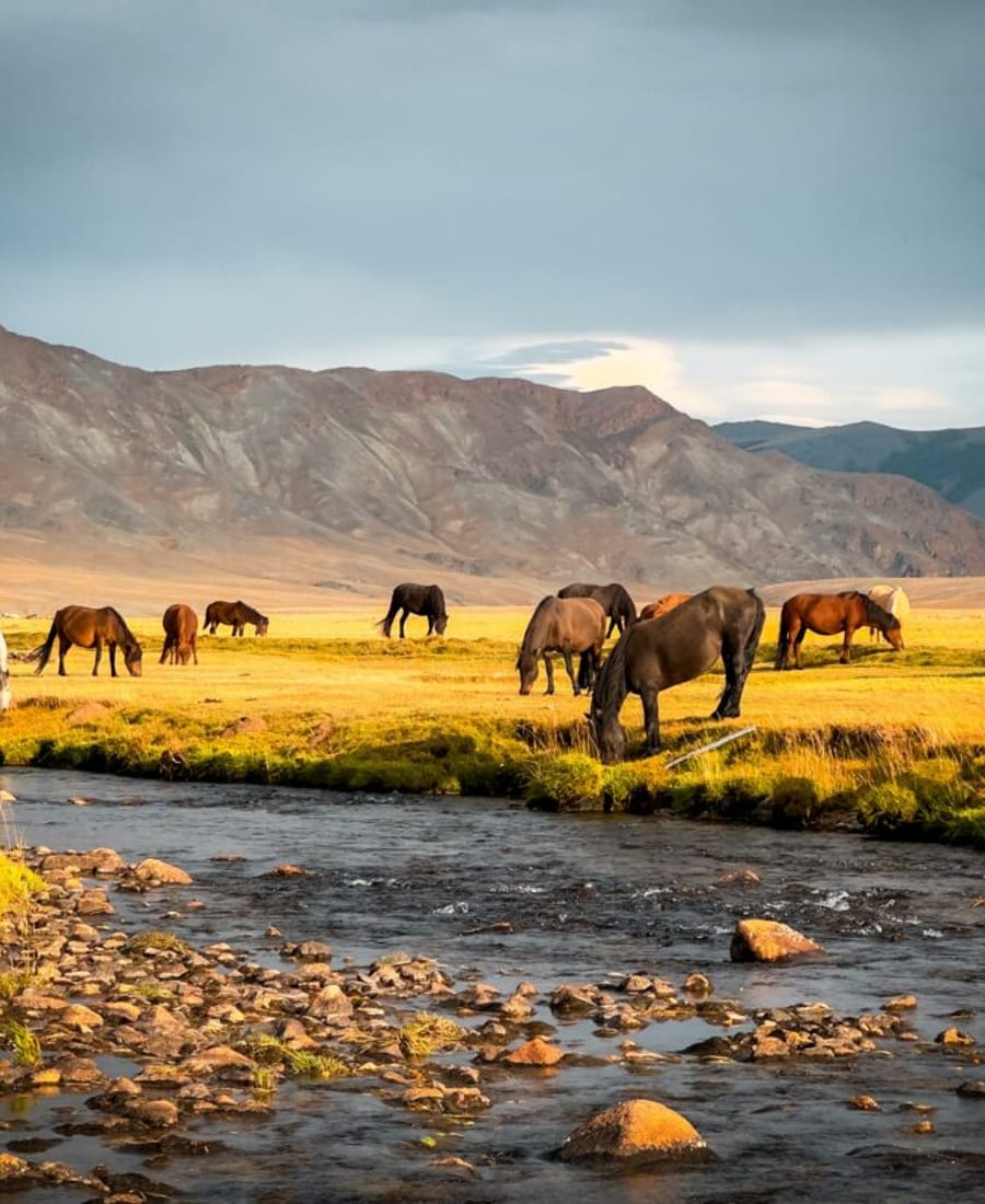 Mongolia III photo 2