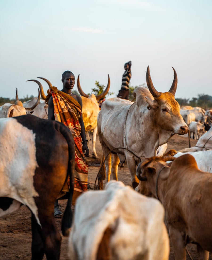 South Sudan IV photo 2