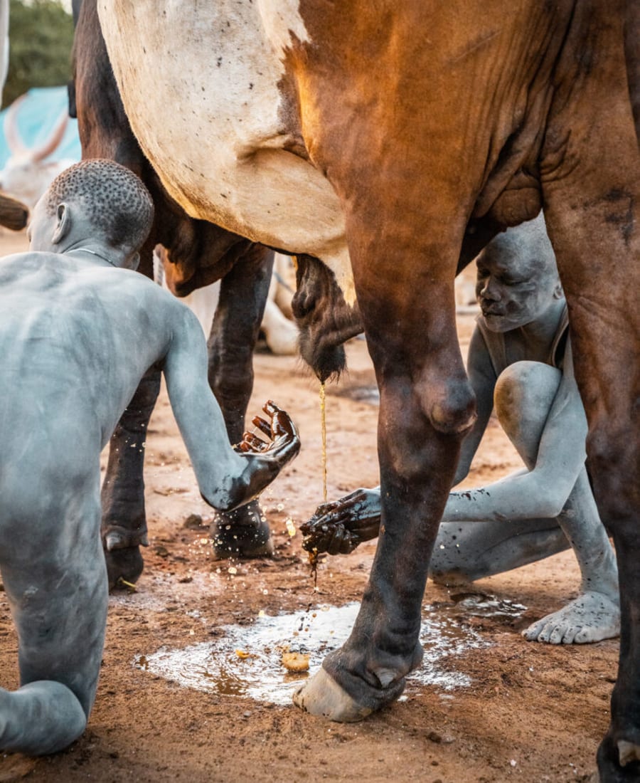 South Sudan IV photo 7