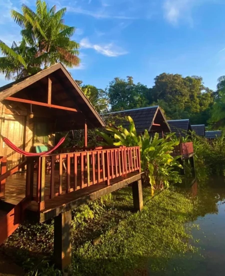 Guianas IV photo 5