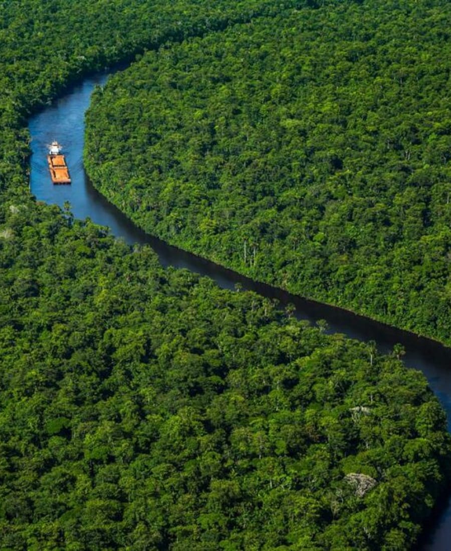 Guianas IV photo 2