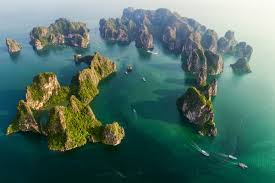 WE Vietnam Lotus photo 6