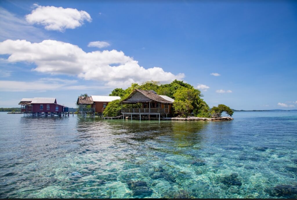 Vanuatu & Solomons II photo 4