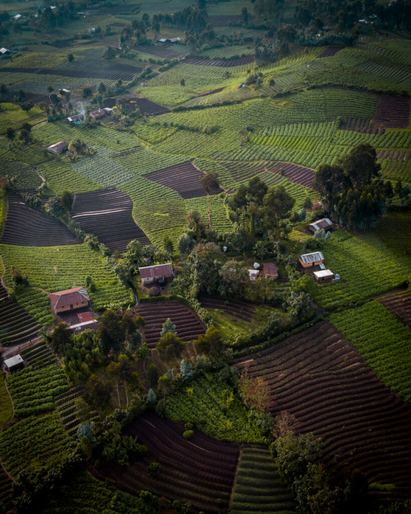DRC I photo 7