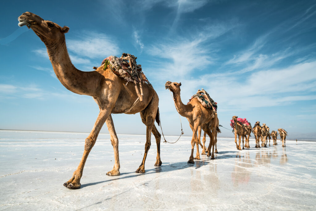 Eritrea & Djibouti I photo 2