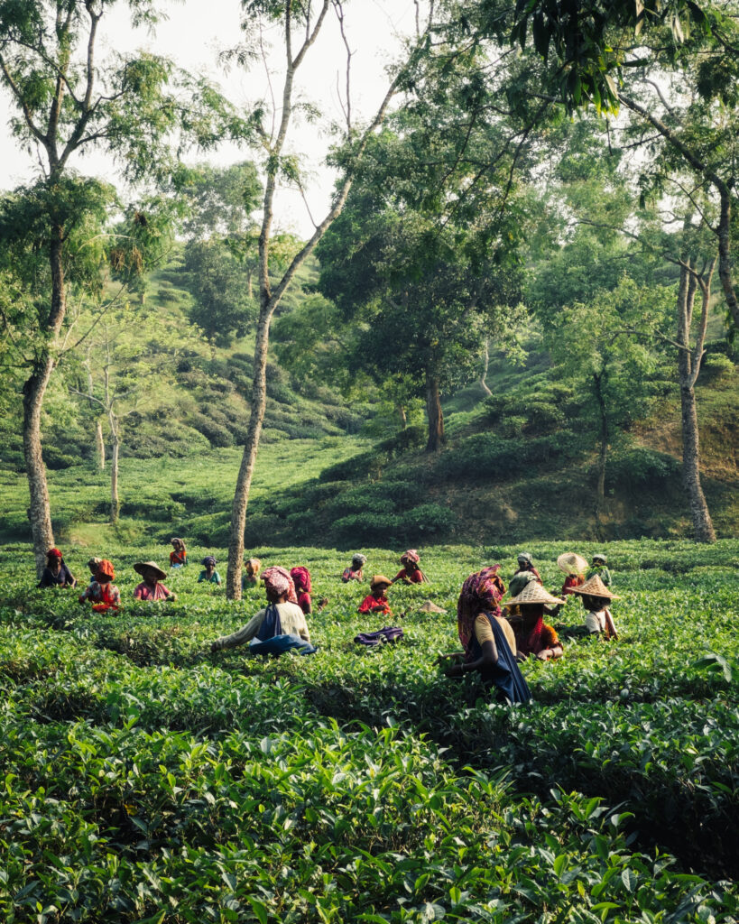 Bangladesh photo 5
