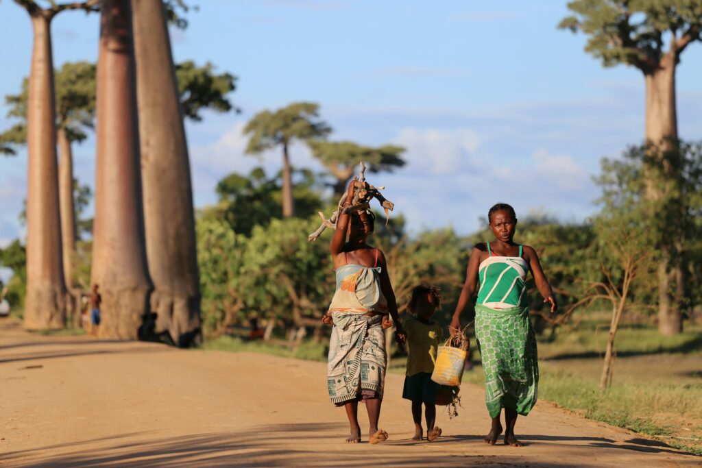 Madagascar I photo 5