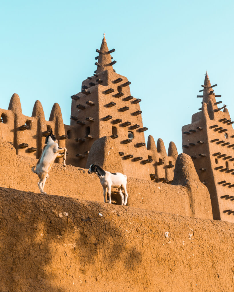 Mali & Burkina III photo 6
